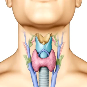 Las Vegas Thyroid Management