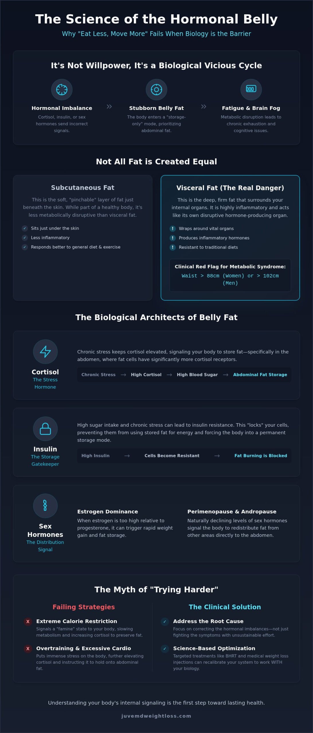 Hormone Imbalance and Belly Fat: Why 'Eating Less' Isn't the Answer in 2026